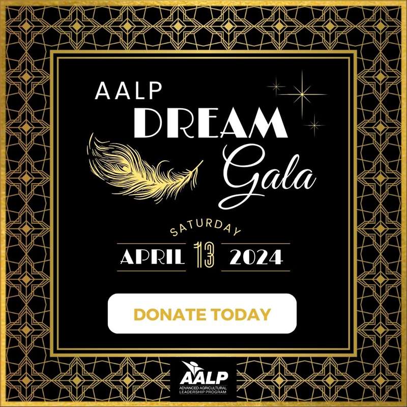 AALP Dream Auction