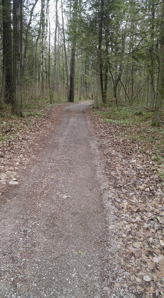 Rural Trail in Curve Lake First Nation.