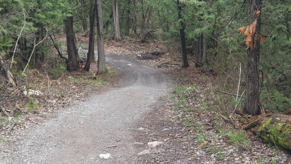 Rural trail in Curve Lake First Nation